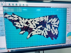 Macchine di taglio di cuoio originale per fabbrica di scarpe e borse