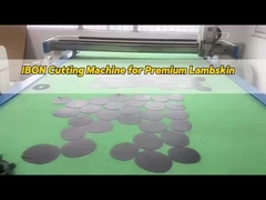 Taglio elettrico a oscillazione tangenziale Taglio a oscillazione CNC personalizzato per la macchina da taglio